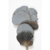 MUSHROOM SPONGE  Gray Wash 16"